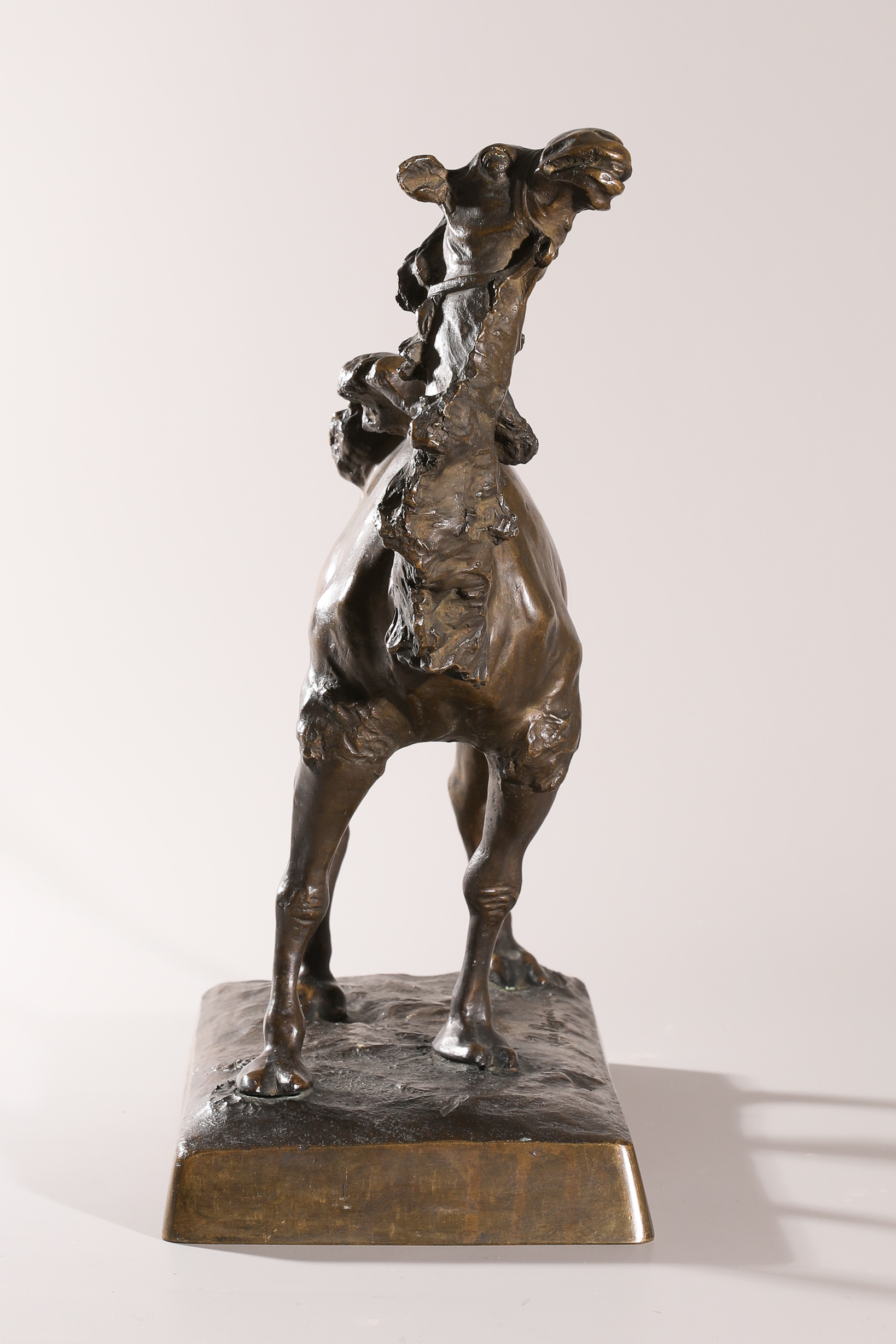 Jan Antoni Biernacki, bronze camel. 1909 (1879-1930) - Image 4 of 7