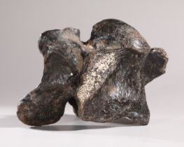 Dinosaur vertebra, fossilized