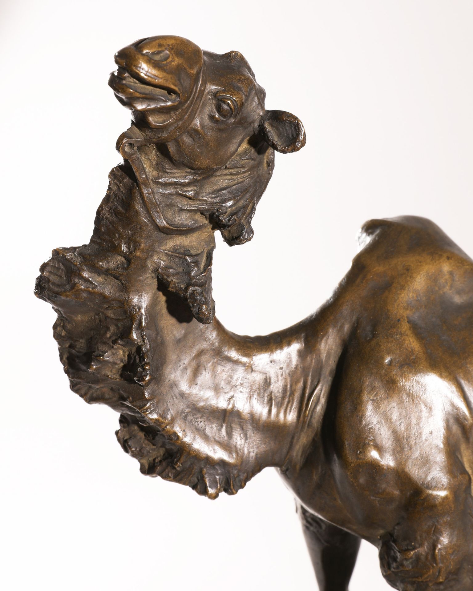 Jan Antoni Biernacki, bronze camel. 1909 (1879-1930) - Image 2 of 7