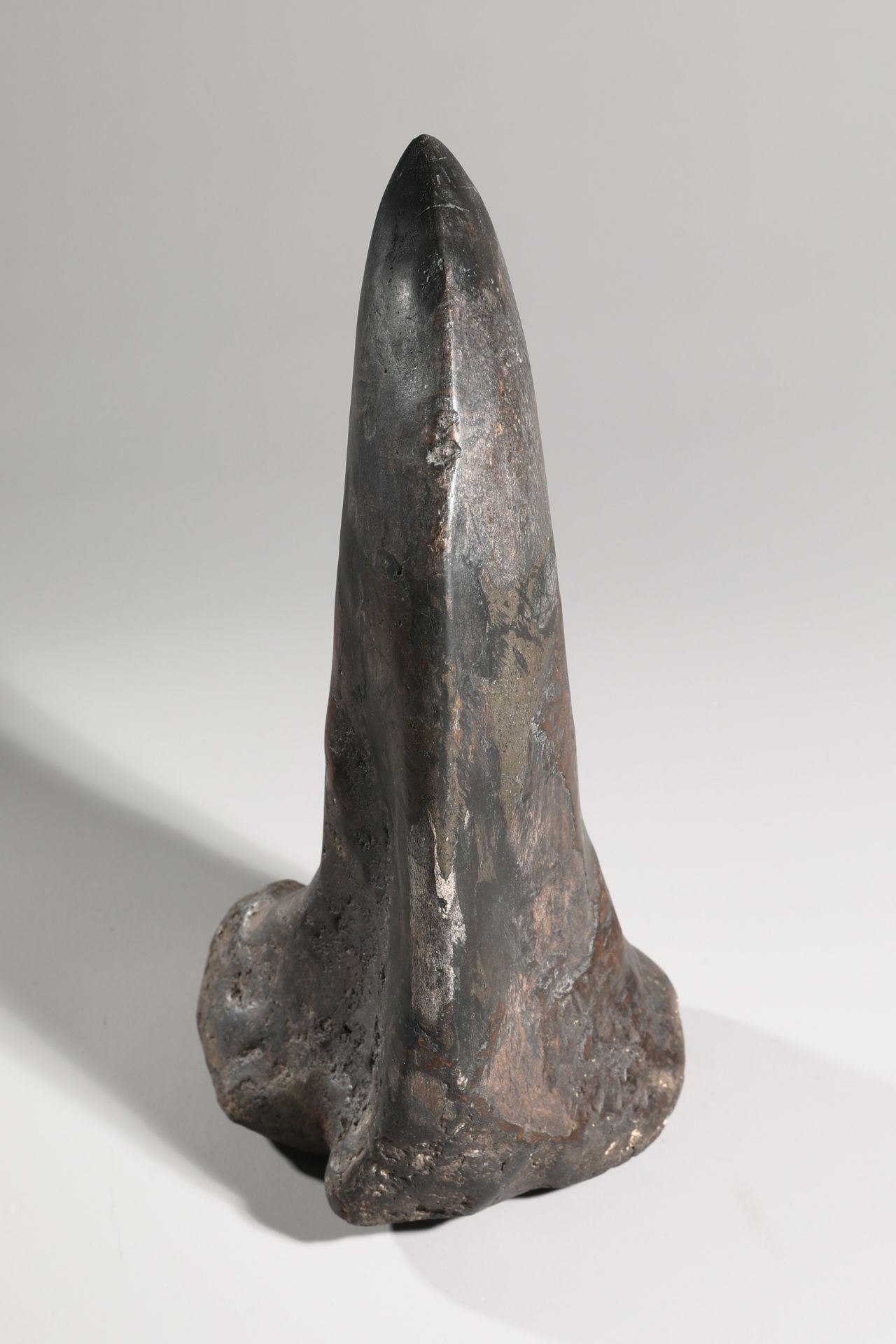 Dinosaur claw, fossilized - Image 2 of 4