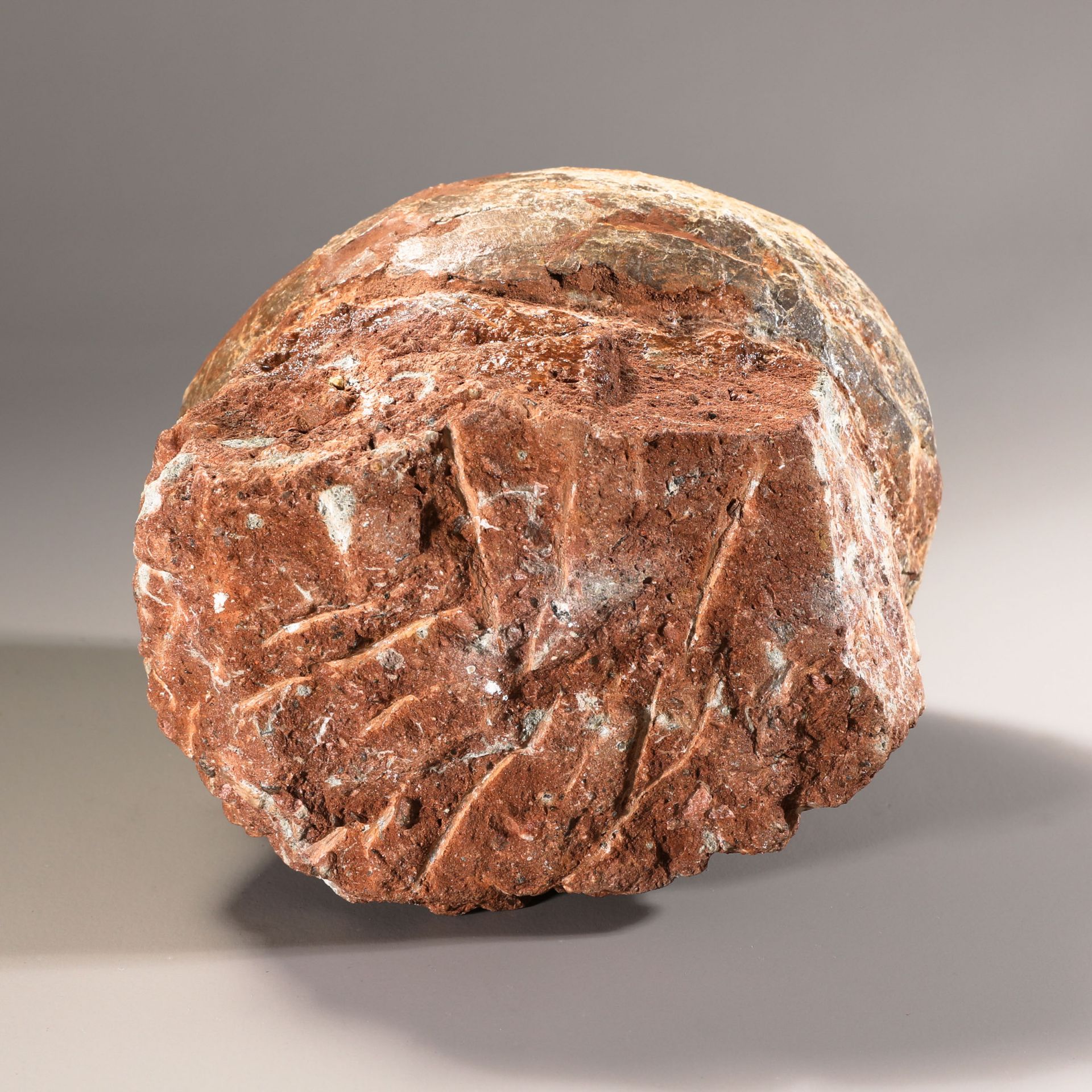 Fossilized dinosaur egg - Image 4 of 4