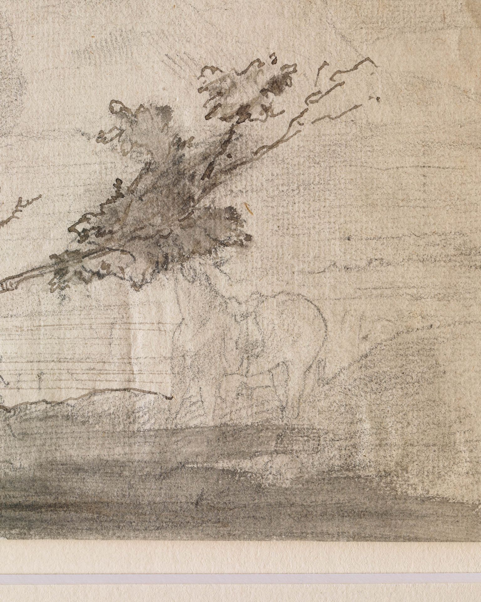 Edgar Degas, Drawing + Certificate, landscape with leaning tree - Image 4 of 4