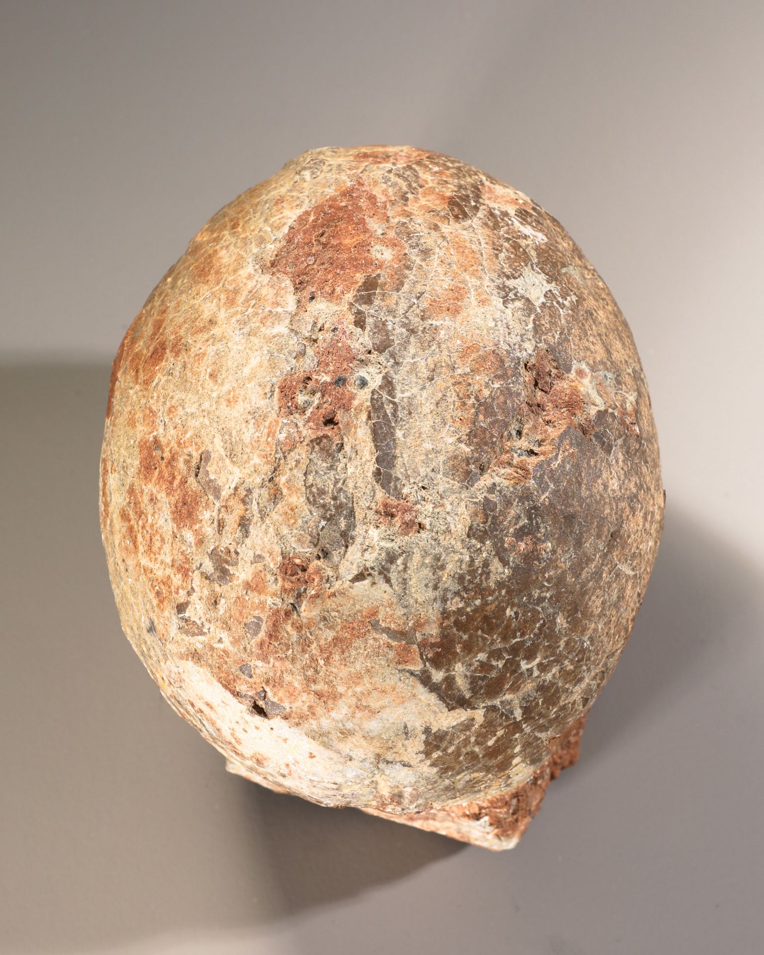 Fossilized dinosaur egg - Image 2 of 4