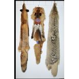 Impressive Native American headdress of a Navajo medicine man and two tanned animal skins