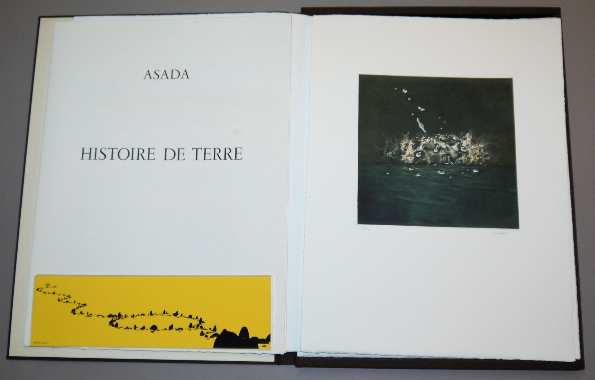 Hiroshi Asada, "Histoire de terre", 5 sign. Colour aquatint etchings from 1978, 3 x in cassette, 2  - Image 4 of 6