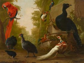 Abraham Bisschop, Ein roter Ara, Perlhühner, ein Silberfasan und andere exotische Vögel in einem Par