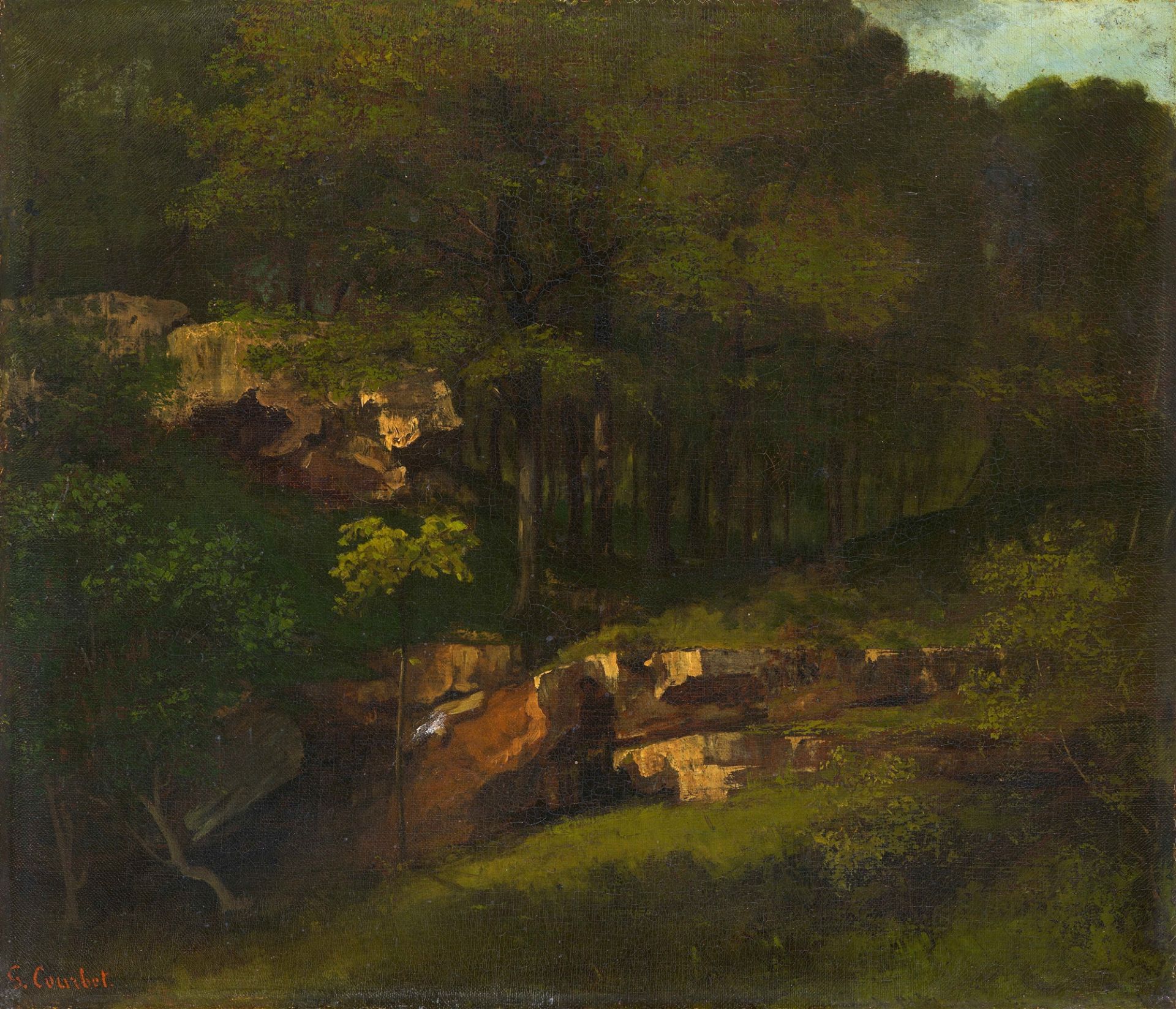 Gustave Courbet, Wooded Mountain Side