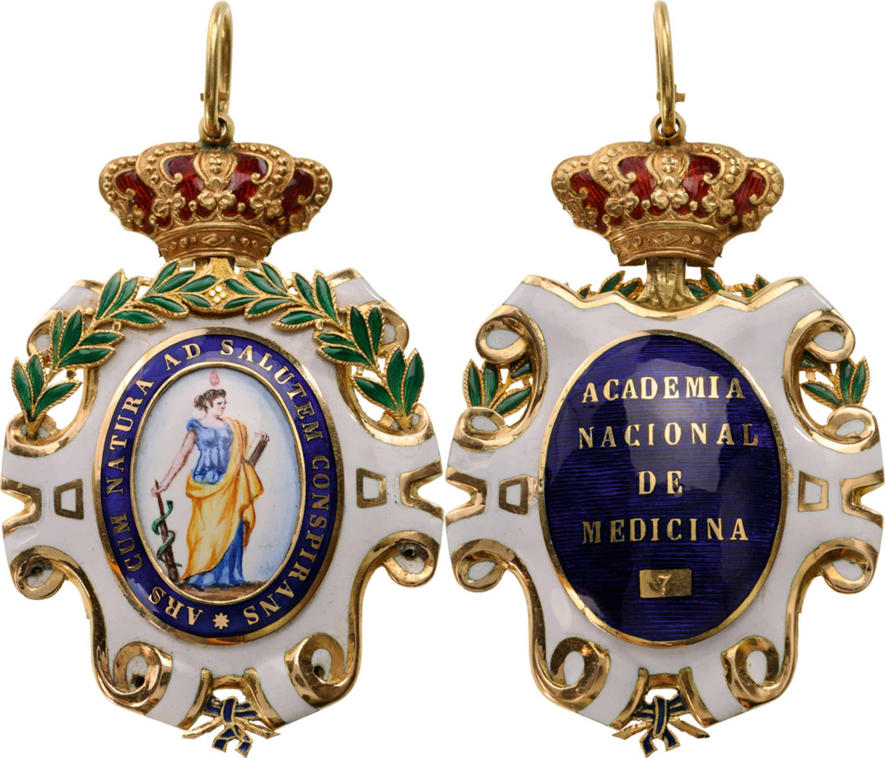 Insignia of Member of the National Academy of Medicine