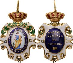 Insignia of Member of the National Academy of Medicine