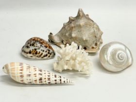 5 seashells.