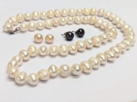 A large pearl necklace with 2 pairs of silver and pearl earrings. Necklace measures 30cm clasped