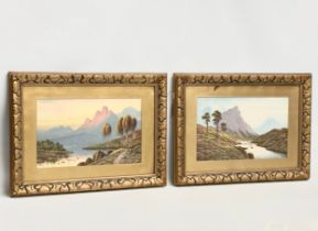 2 early 20th century oil painting in gilt frames. 40x25cm. Frames 59x44cm