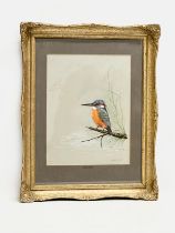 A watercolour drawing by Anthony J. Smith. Kingfisher. 23x30cm. Frame 38x48cm