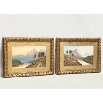2 early 20th century oil painting in gilt frames. 40x25cm. Frames 59x44cm