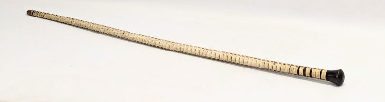 A mid 19th century taxidermy shark's vertebrae walking stick. 88cm