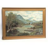 A large Late 19th Century / Early 20th Century oil painting of Highland Cattle. 86x58cm. Frame