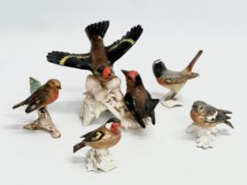 A collection of Goebel pottery birds.
