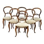 A set of 6 Victorian rosewood balloon back dining chairs on cabriole legs. 1860.