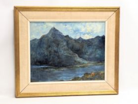 A large 1963 oil painting, The Cuillins, Skye. Signature on back. 49.5x39.5cm. Frame 69x59.5cm