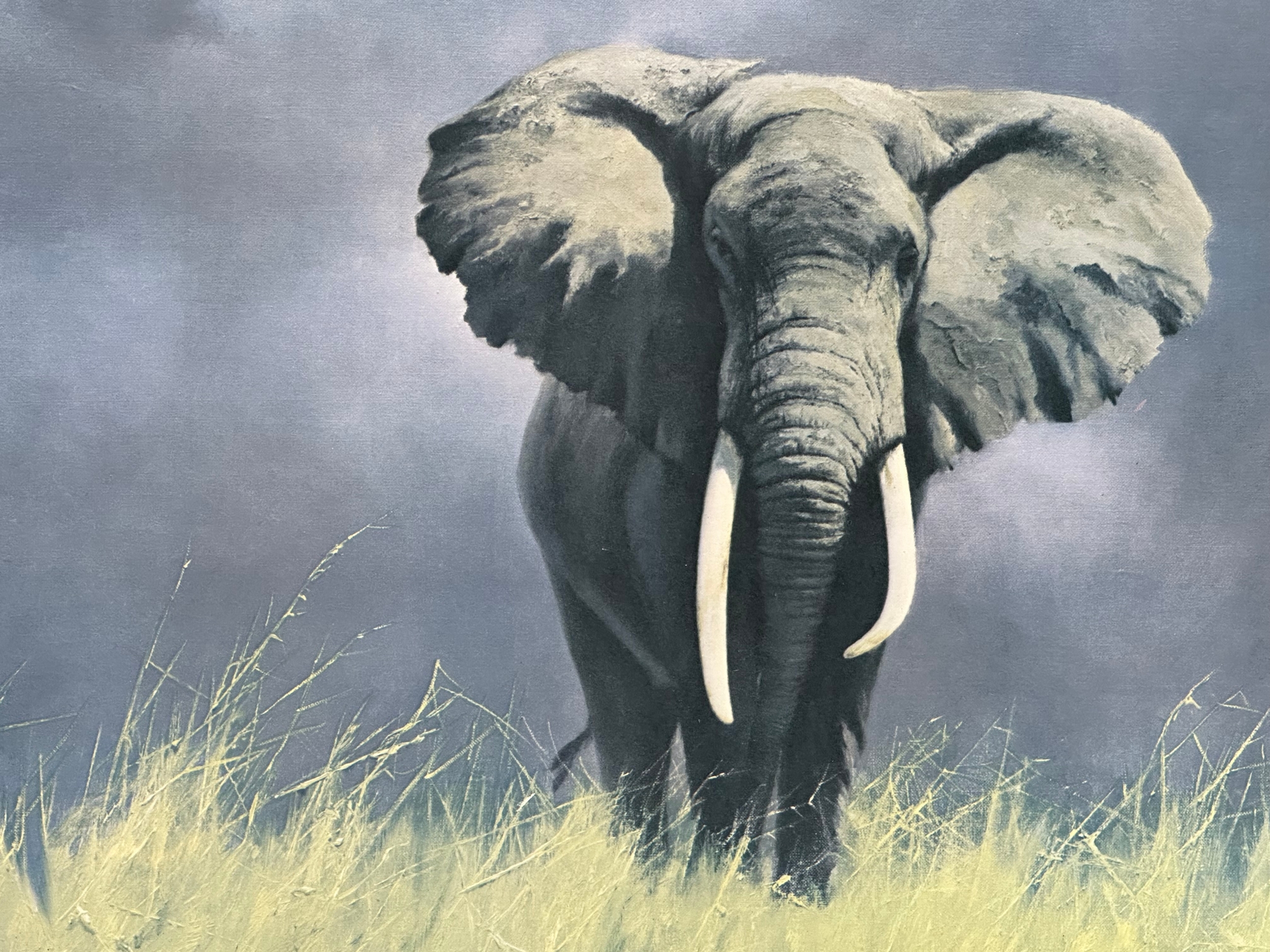 A signed ‘Wise Old Elephant’ print by David Shepherd. 83.5x60cm - Bild 4 aus 4