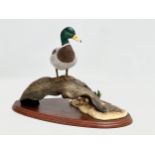 A large Border Fine Arts ‘Mallard’ figure on stand. Water Fowl of the World by Don Briddell.