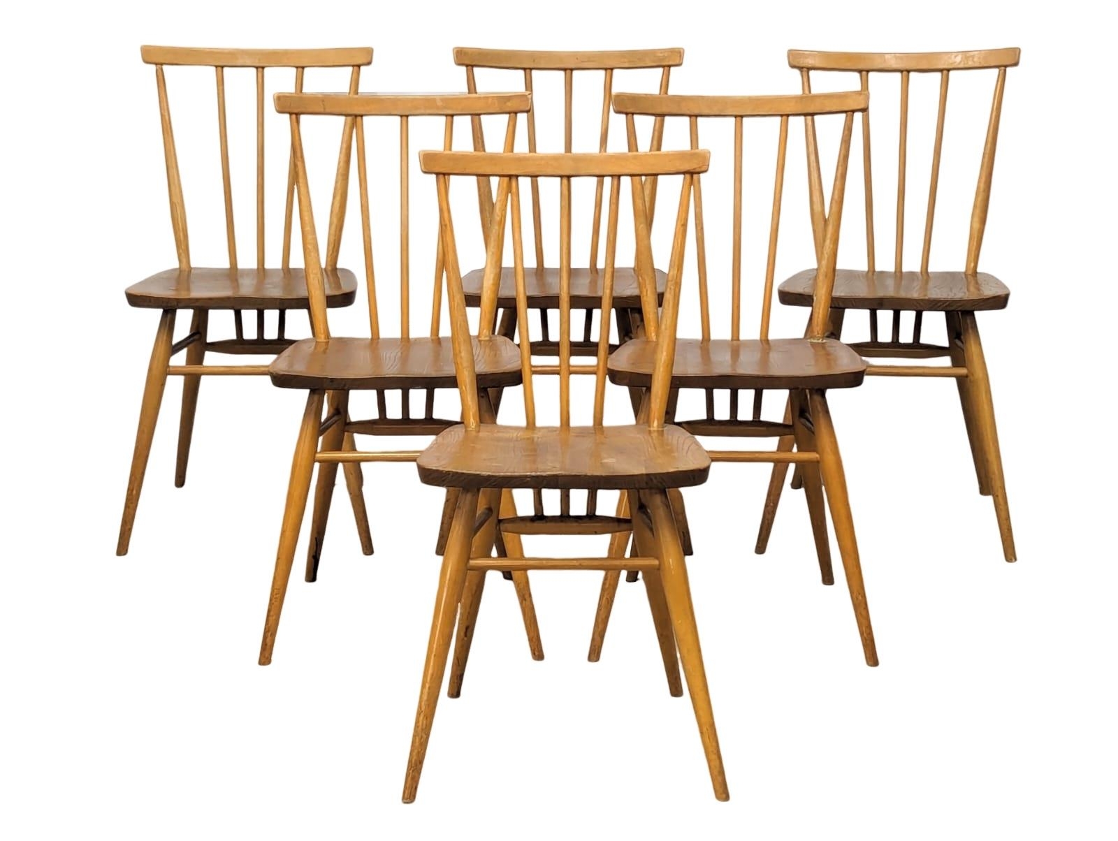 A set of 6 Ercol Model 391 Mid Century Blonde elm and beech dining chairs.