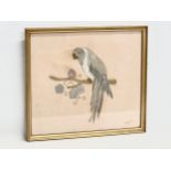 A vintage gilt embroidered parrot in gilt frame. 53x46.5cm