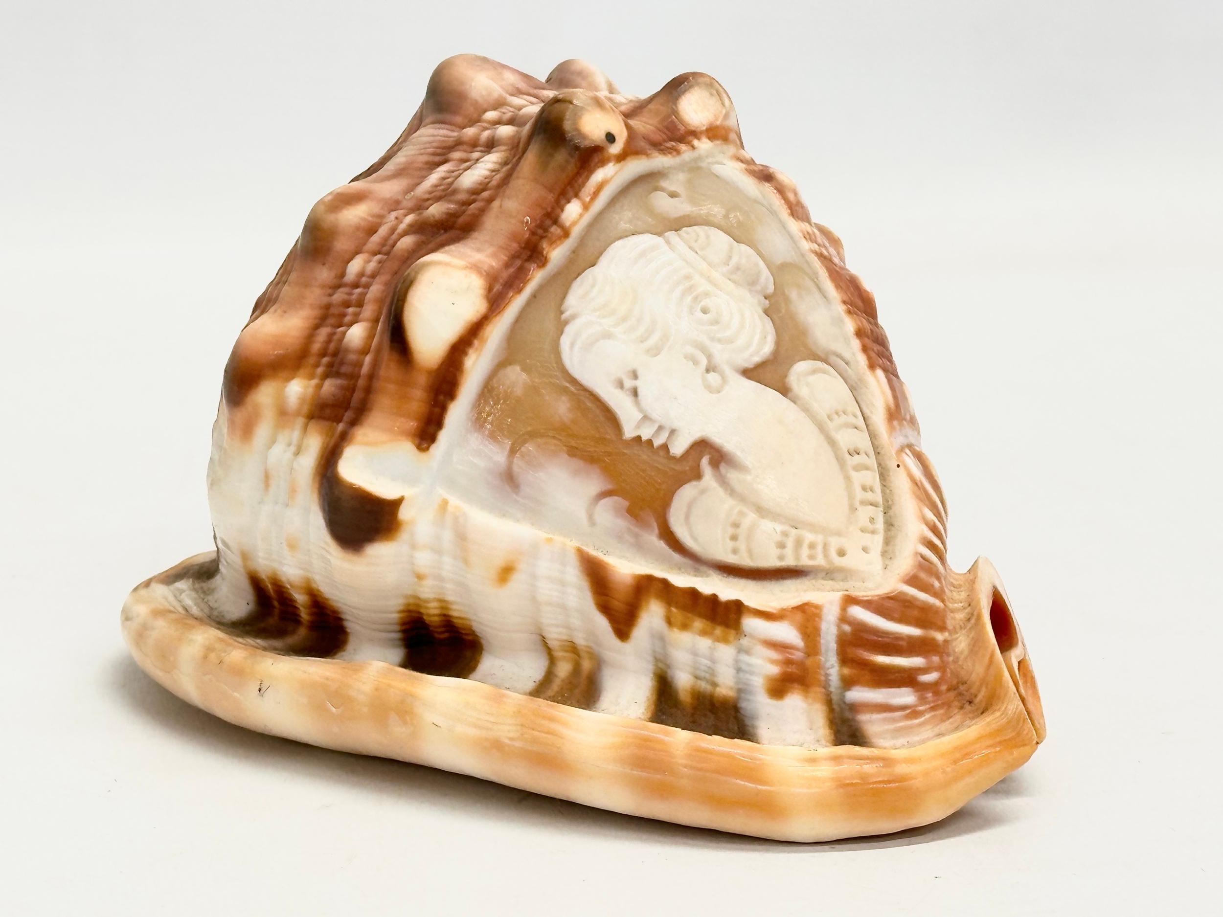 2 19th Century Cameo Conch Shells. 14cm - Image 2 of 7