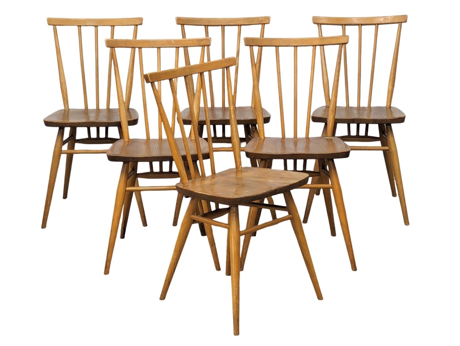 A set of 6 Ercol Model 391 Mid Century Blonde elm and beech dining chairs. - Image 5 of 6