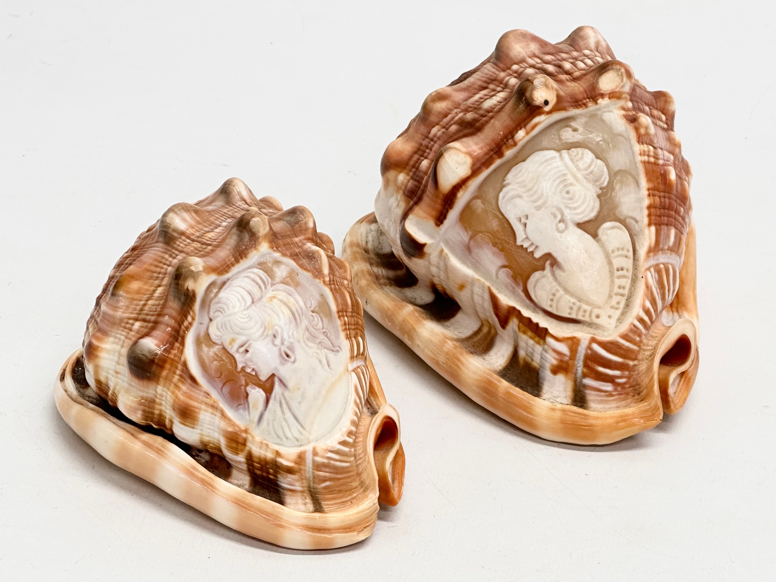 2 19th Century Cameo Conch Shells. 14cm