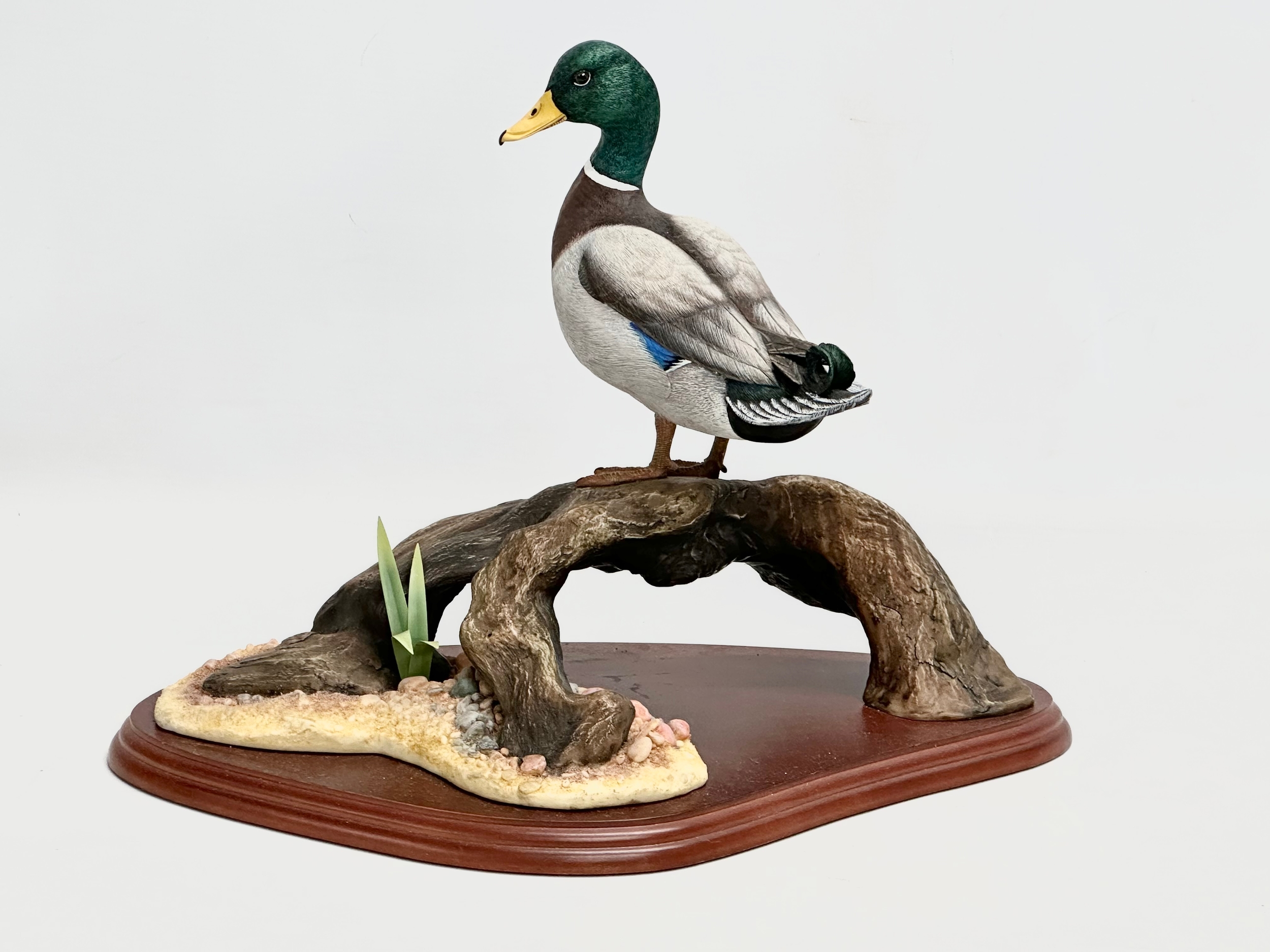 A large Border Fine Arts ‘Mallard’ figure on stand. Water Fowl of the World by Don Briddell. - Image 2 of 5