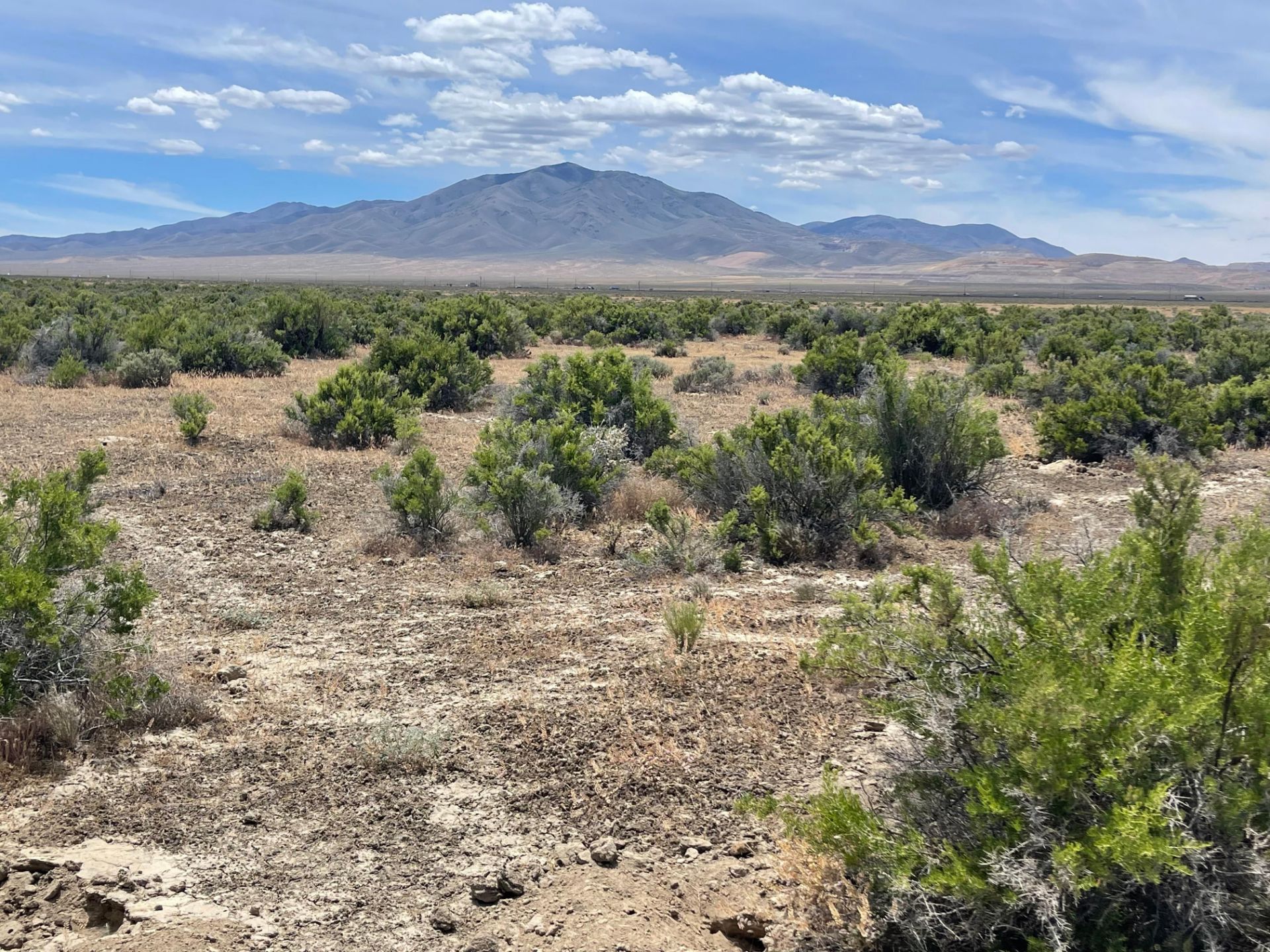 Serene 160-Acre Desert Retreat near Battle Mountain, Nevada! BIDDING IS PER ACRE!