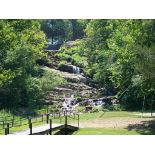 Endless Possibilities With These 20 Lots in Arkansas! BIDDING IS PER LOT!