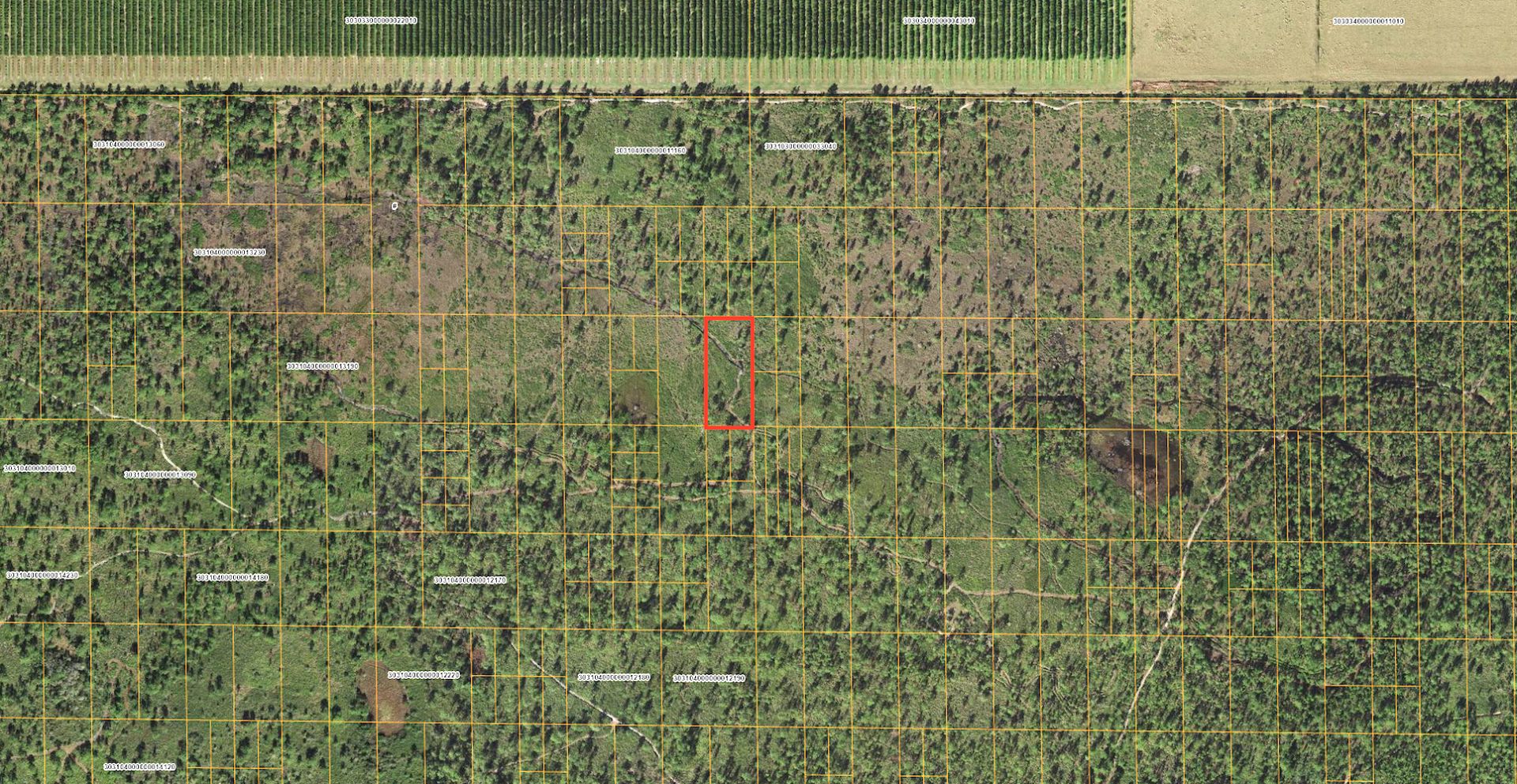 Invest in 1.45 Acres of Florida Near State Road 60! - Image 7 of 15