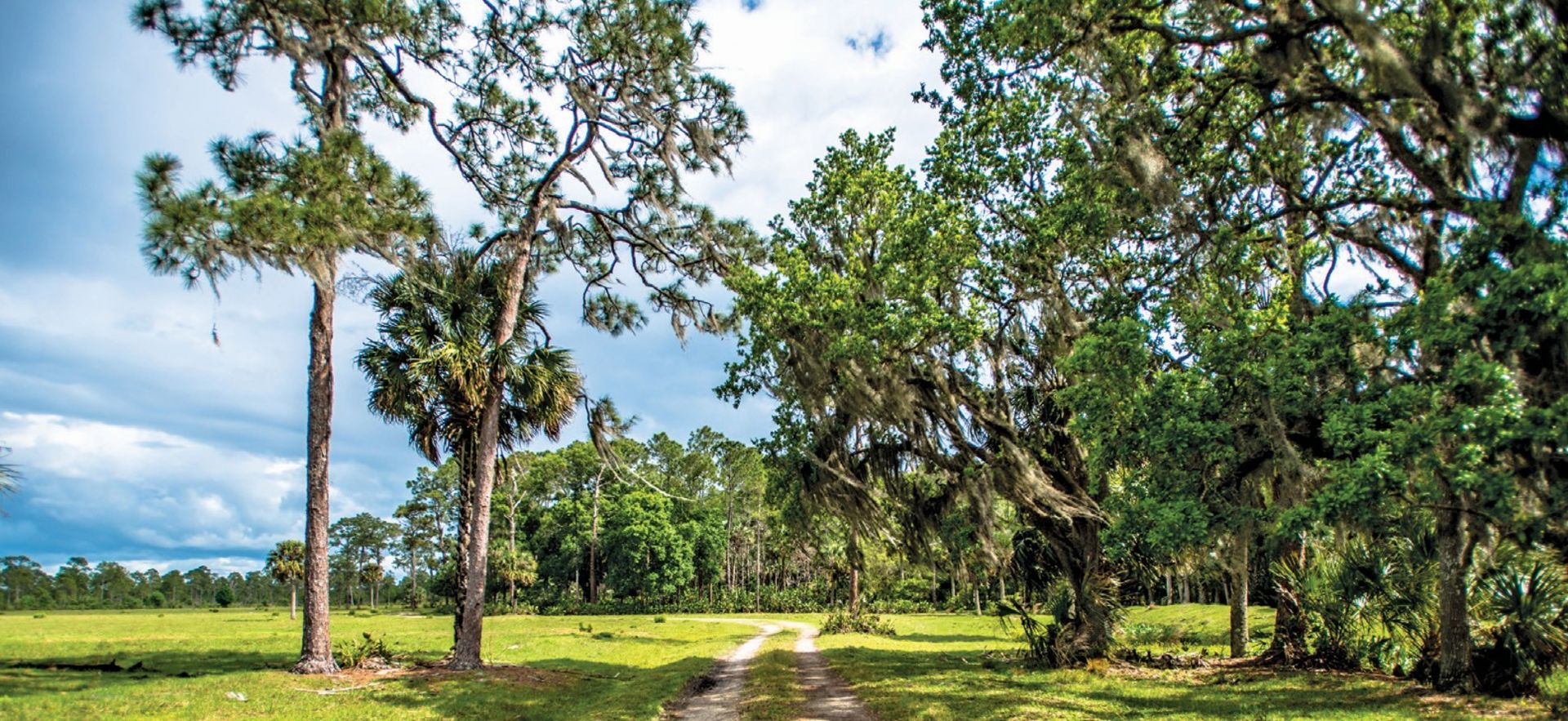 Claim This Slice of Charlotte County, Florida! - Image 9 of 14