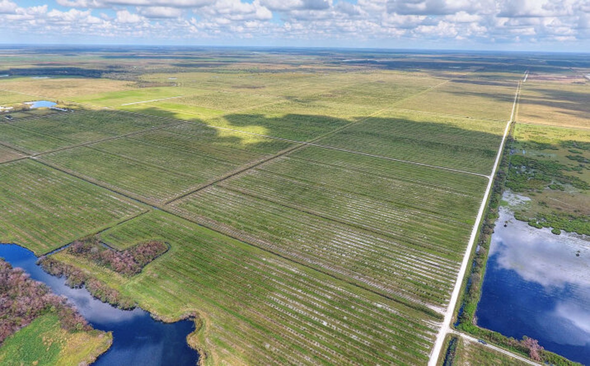 Florida Oasis Awaits: Land in Charlotte County, Florida! - Image 2 of 14