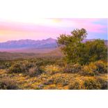 4.77 Acres of Breathtaking Nevada Views!