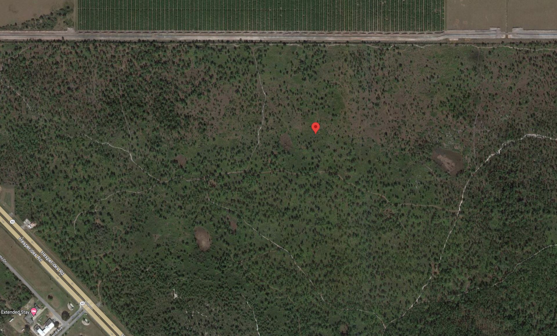 Invest in 1.45 Acres of Florida Near State Road 60! - Image 12 of 16