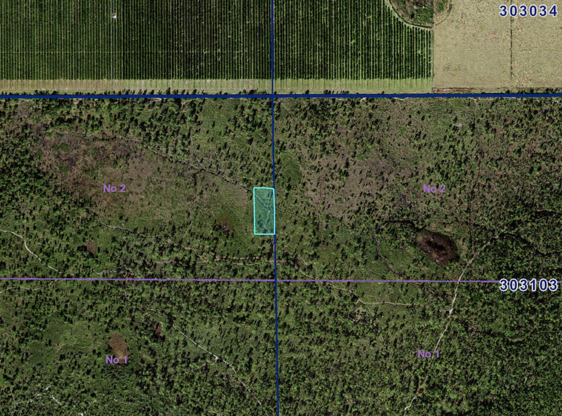 Invest in 1.45 Acres of Florida Near State Road 60! - Image 7 of 16
