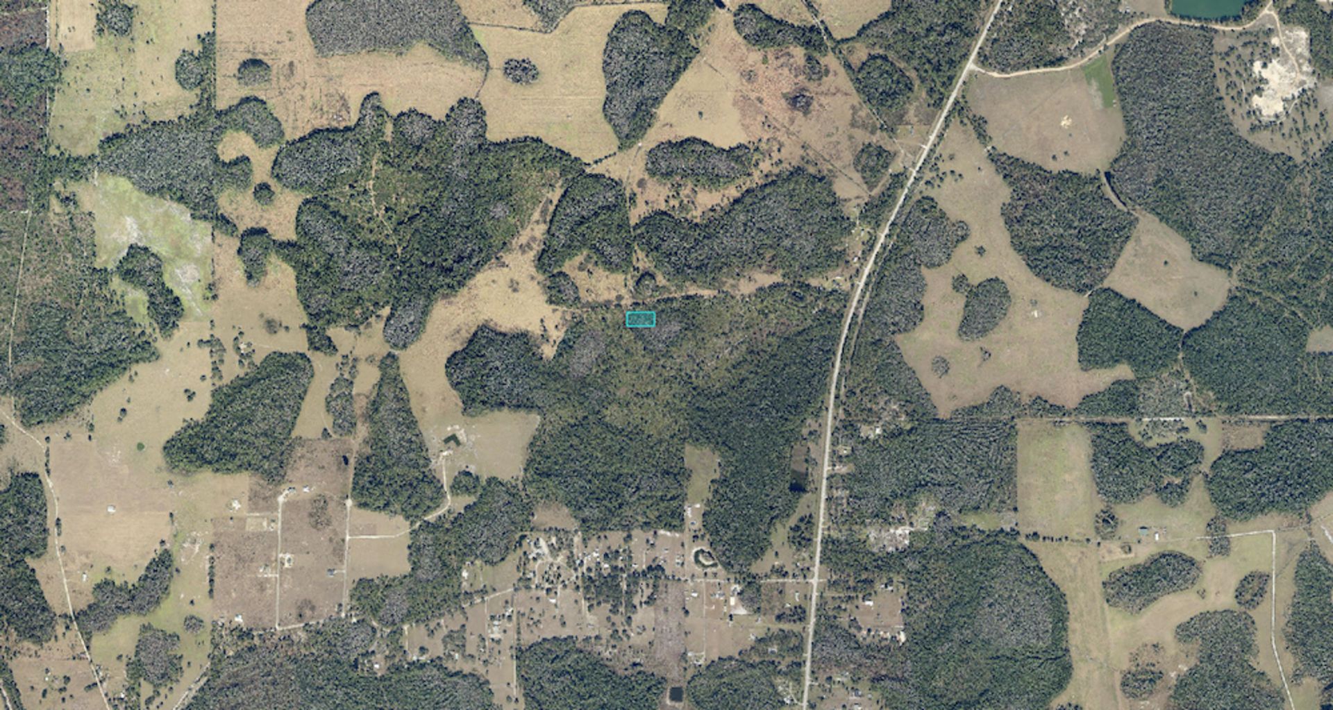 Invest in 1.45 Acres of Florida Near State Road 60! - Image 8 of 16