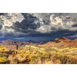 Explore the History & Beauty of Cochise County, Arizona!