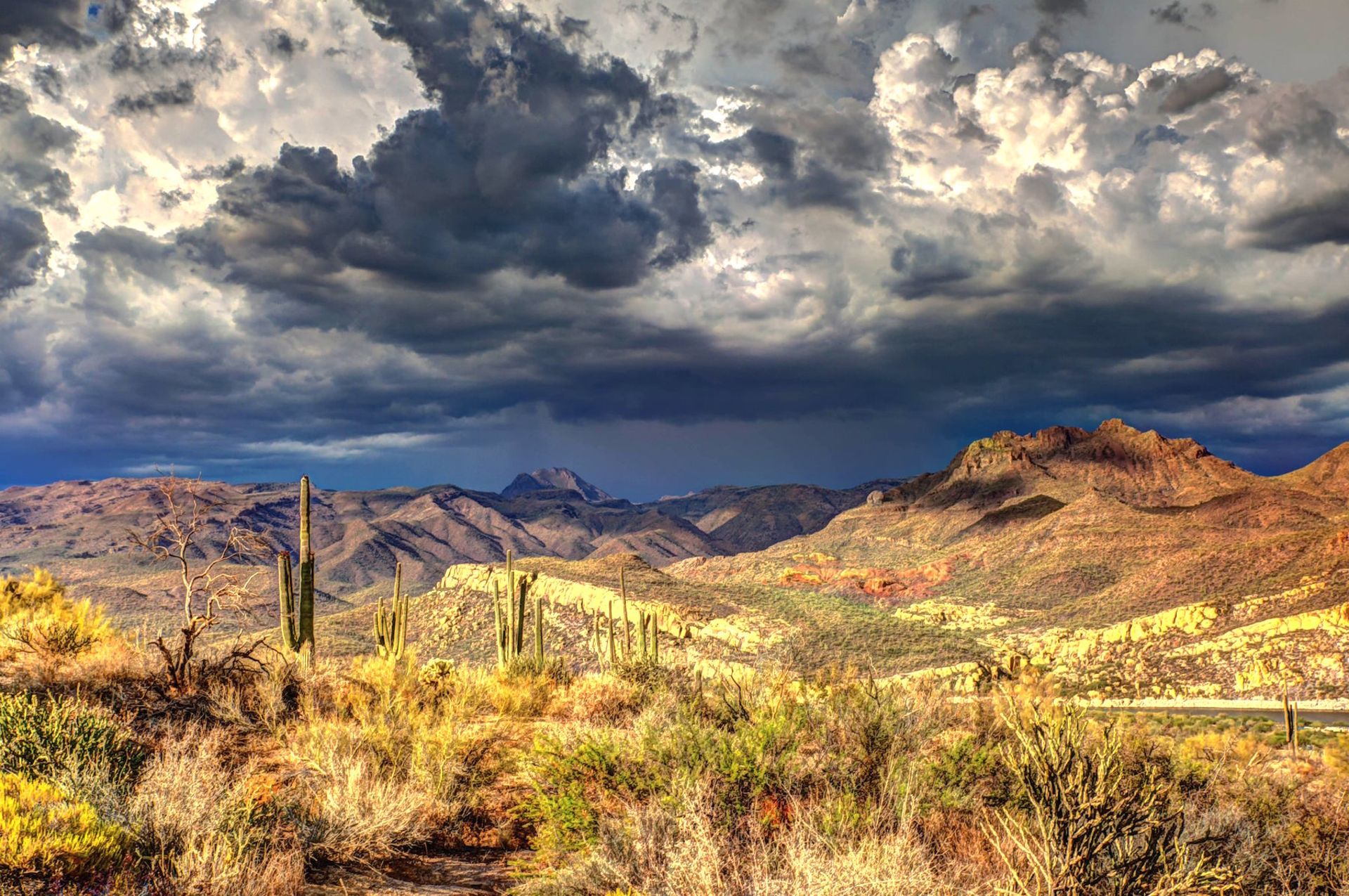 Explore the History & Beauty of Cochise County, Arizona!