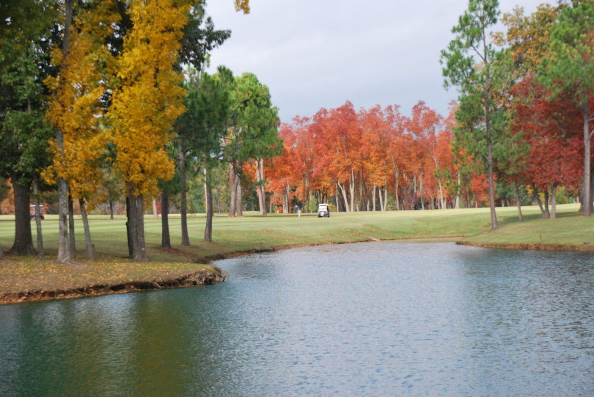 Invest in the Best with 20 Buildable Lots in Cherokee Village, Arkansas! - Image 9 of 13