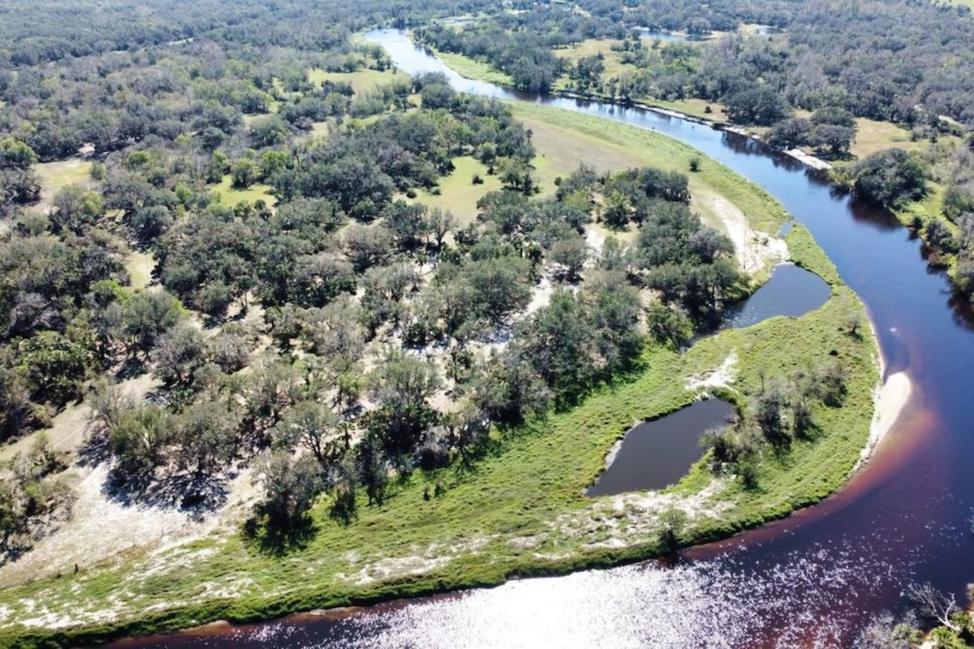 Near Florida's Peace River Preserve! - Image 9 of 15