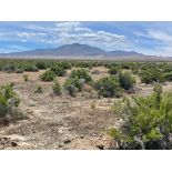 Serene 160-Acre Desert Retreat near Battle Mountain, Nevada! BIDDING IS PER ACRE!