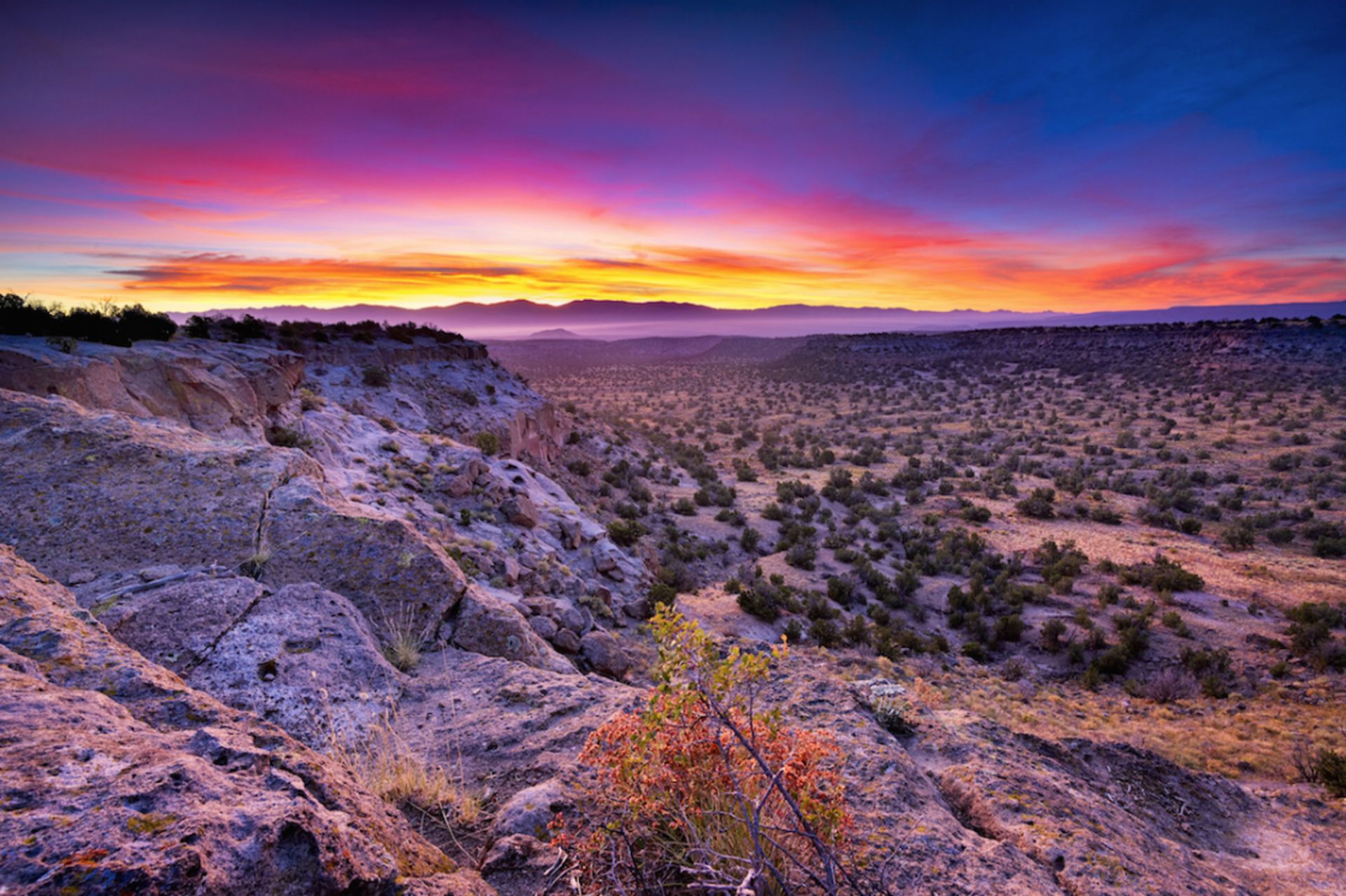 Half-Acre Lot Near the Mountains in New Mexico! - Image 2 of 16