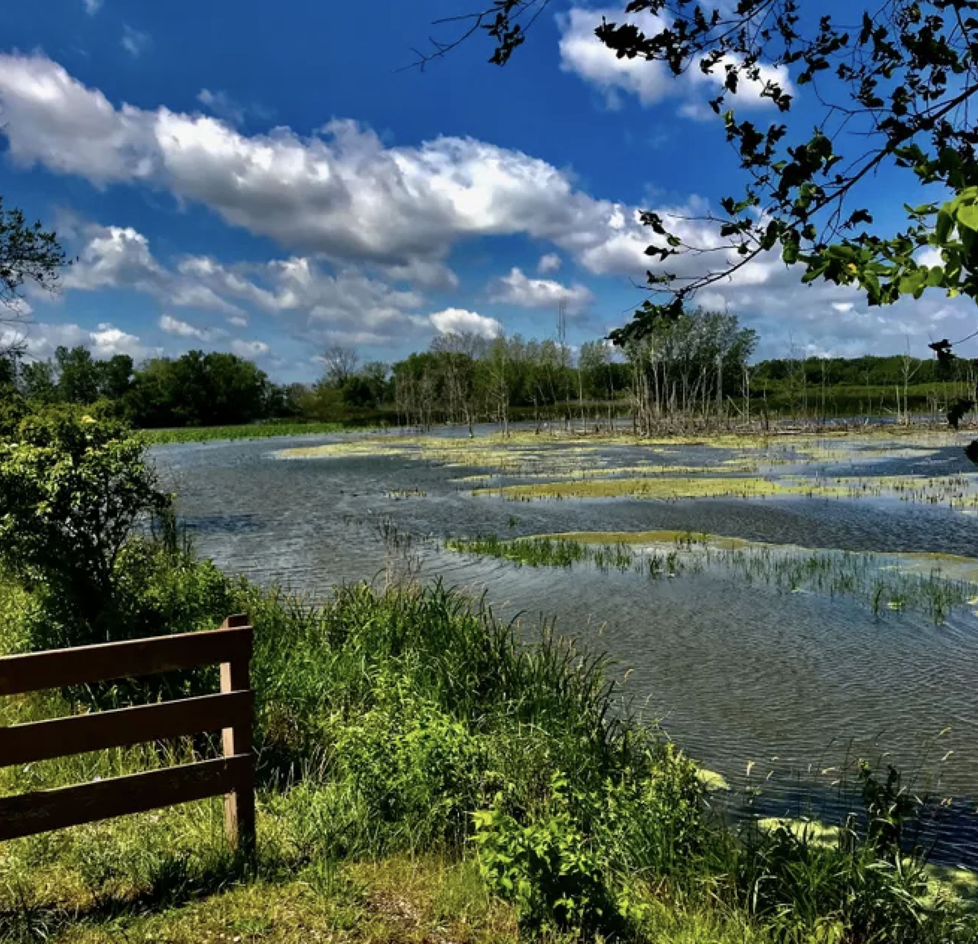 A Stone's Throw from Lake Erie in Monroe County, Michigan! - Image 14 of 14