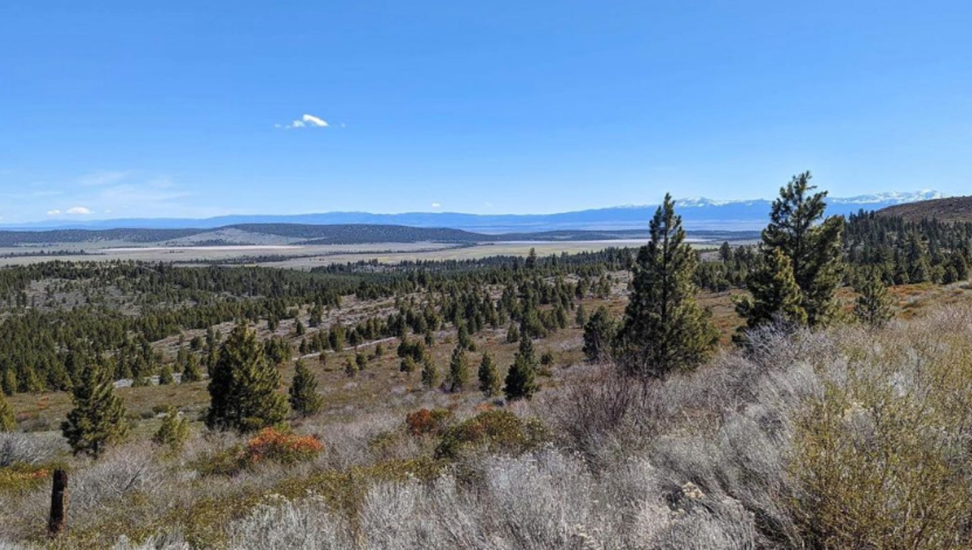 Build Your Home in the California Pines: A Peaceful Haven for Those Who Love the Outdoors! - Image 6 of 14