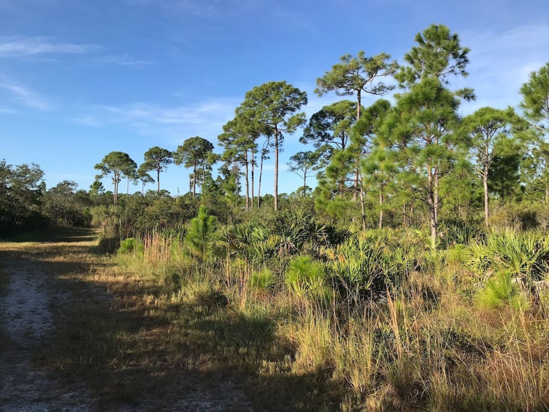 Paddle Your Way Through Florida's Shell Creek! - Image 6 of 17