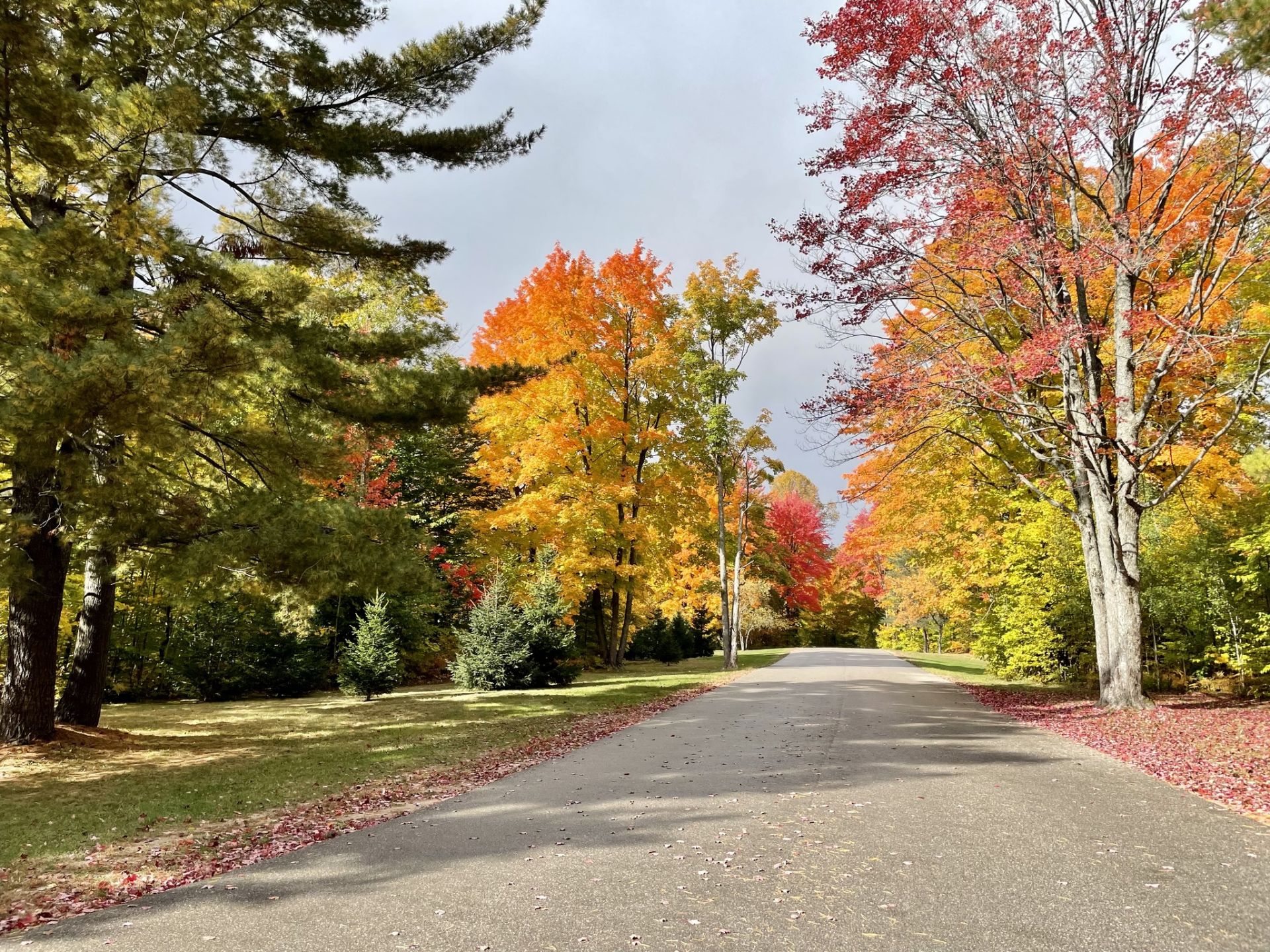 Just One Mile to this Michigan Golf Course! - Image 6 of 15